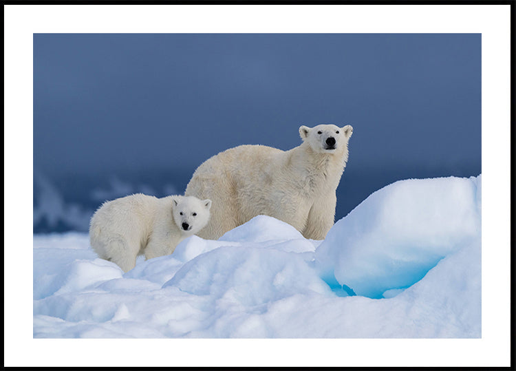 Mommy and baby Plakat - Posterbox