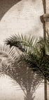 Arched Light 2 (NEW) - Posterbox