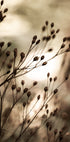 Autumn Lights - Posterbox