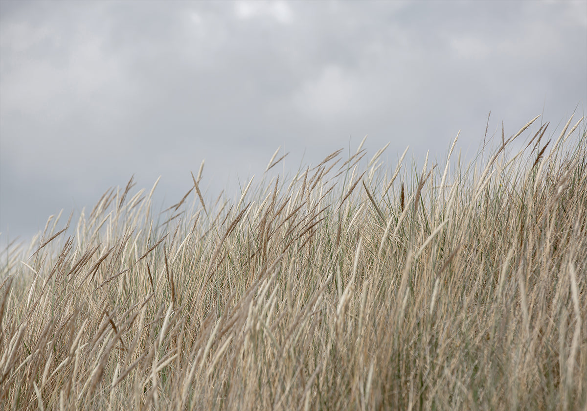 Dunes and Clouds - Posterbox