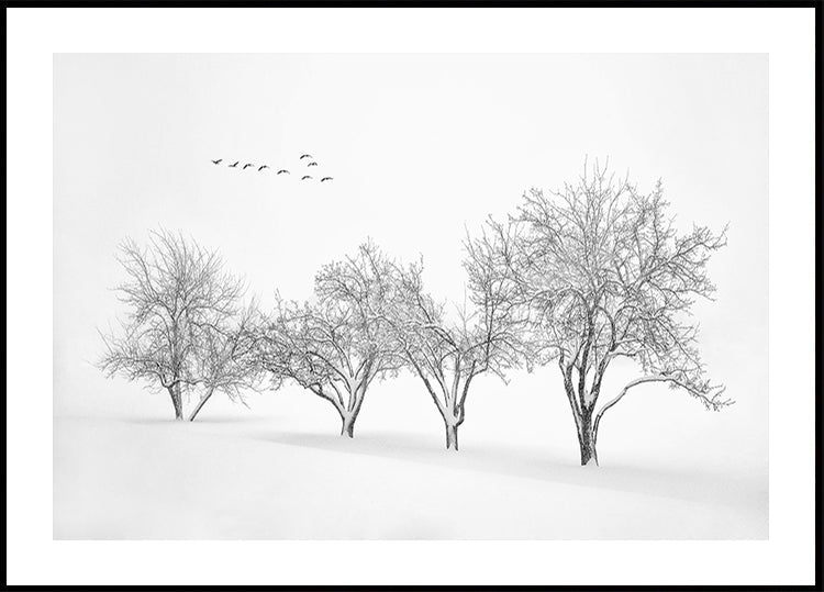 White World Plakat - Posterbox
