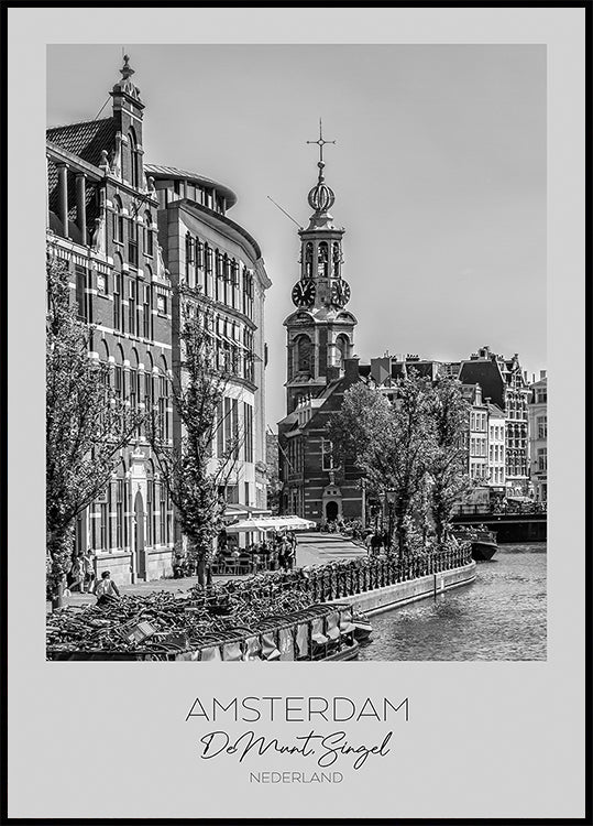 In focus: AMSTERDAM De Munt Plakat - Posterbox