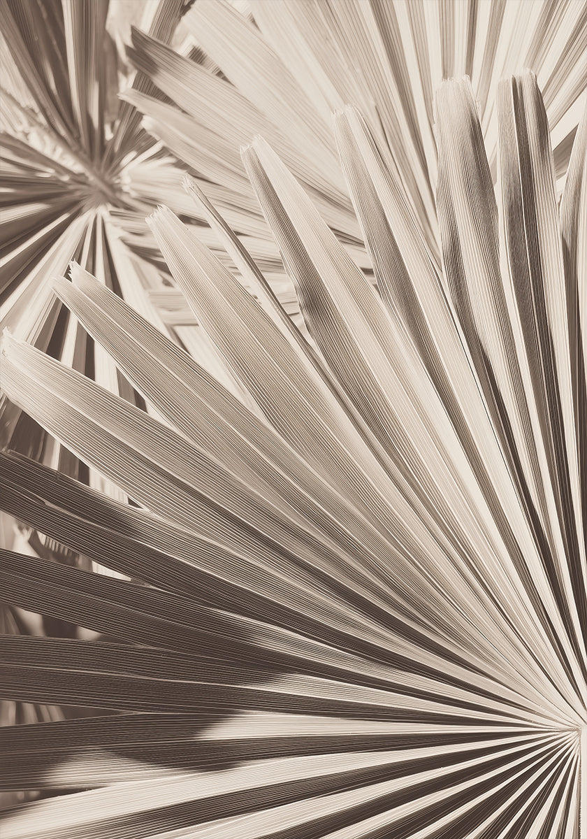 Abstract Palm Leaf Art Plakat - Posterbox