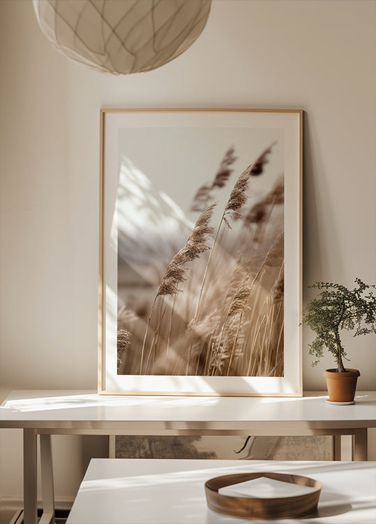 Golden Grass in Warm Breeze Plakat - Posterbox