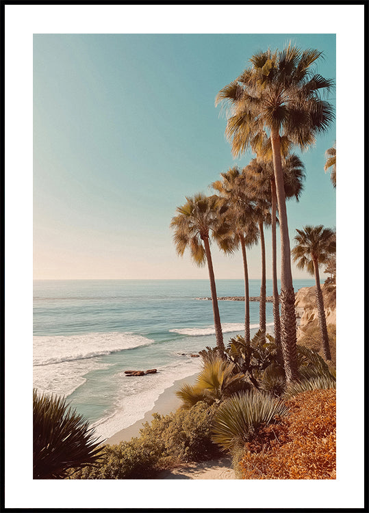 Palm Trees with Blue Sky (NEW) - Posterbox