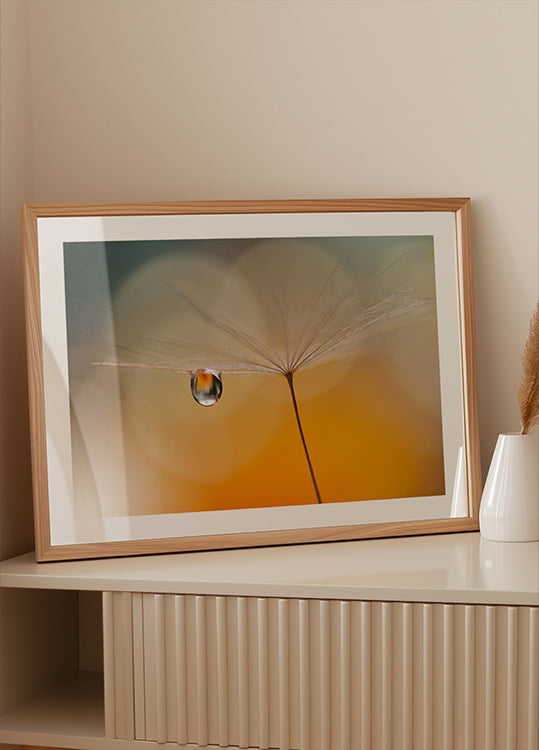 Kleine Nachtmusik...