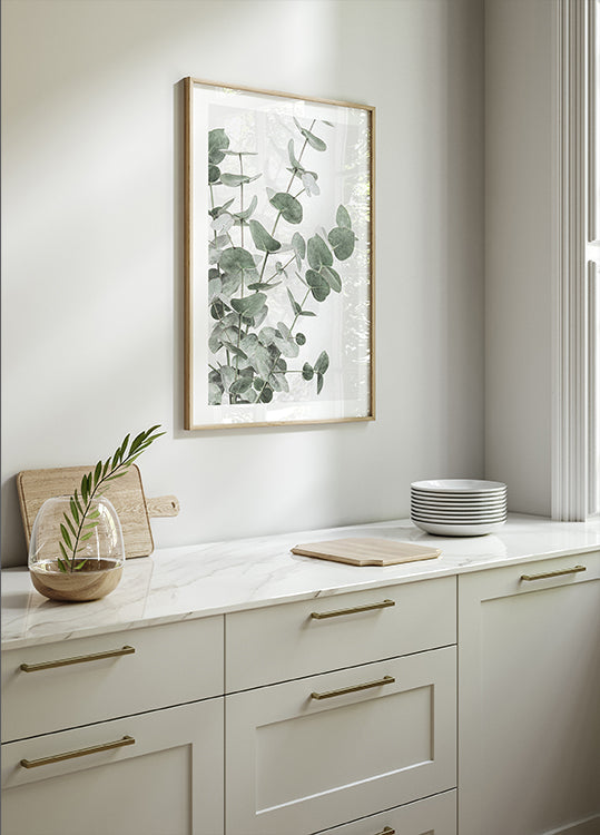 Eucalyptus_003 Poster