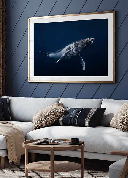 Buckelwal in Blau Poster