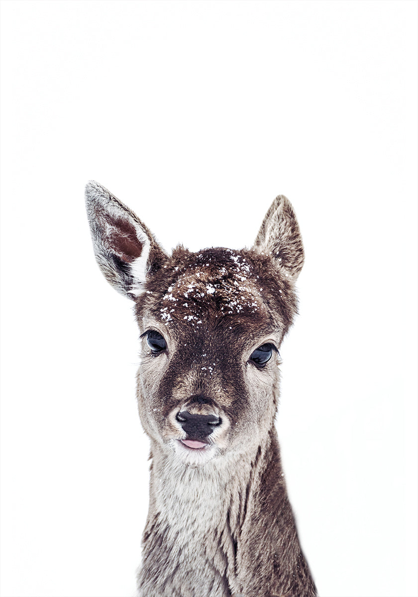 Little Fawn Fiona Plakat - Posterbox