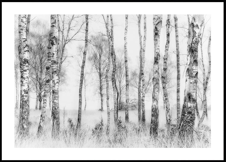 Black and white - Posterbox