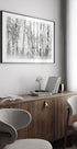 Black and white - Posterbox