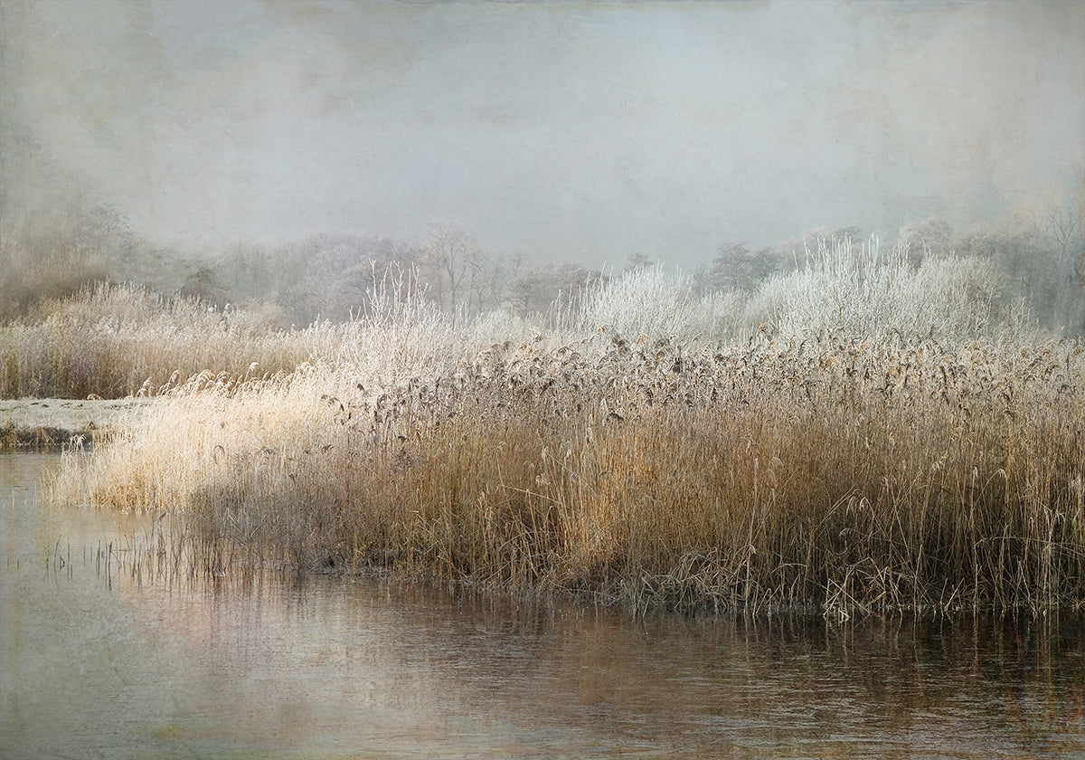 Wintermorning Plakat - Posterbox