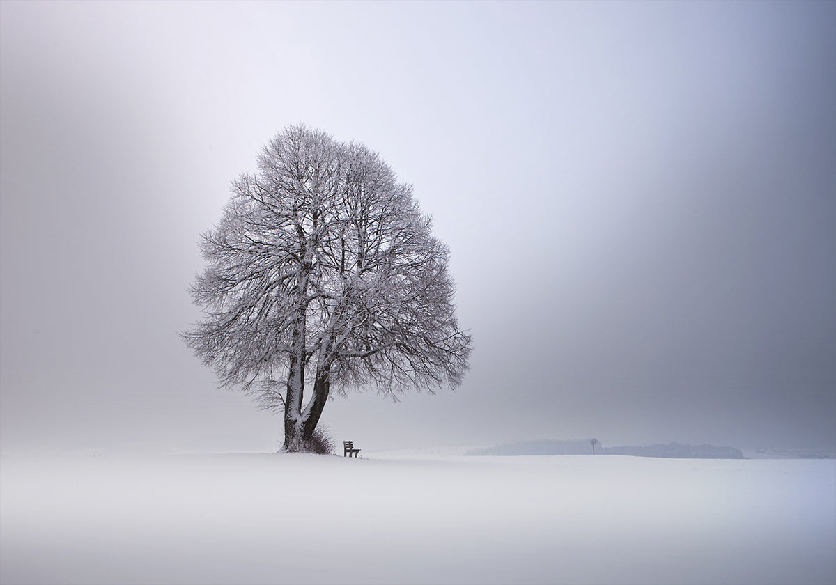 Winter light Plakat - Posterbox