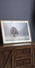 Winter light Plakat - Posterbox
