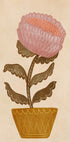 Blossom in a Vase Plakat - Posterbox