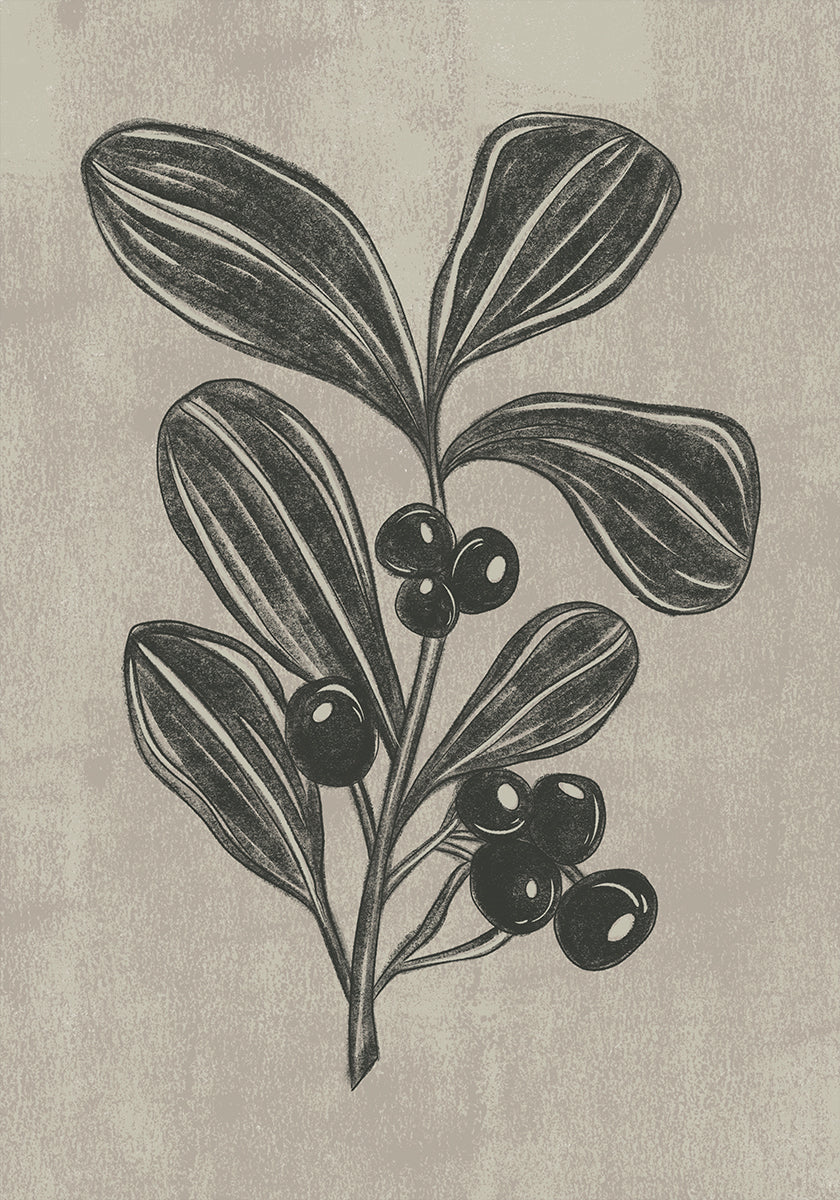 Winter Berry Plakat - Posterbox