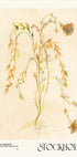 Watercolor print collection. Flower market - Stockholm - Posterbox