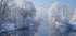 coldest morning Plakat - Posterbox