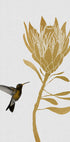 Hummingbird & Flower I Plakat - Posterbox