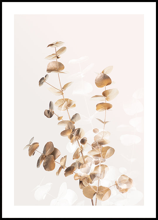 Eucalyptus Creative Gold 03 Plakat - Posterbox