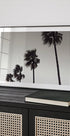 Palm_004 - Posterbox