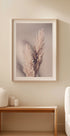 Pampas Grass - Posterbox
