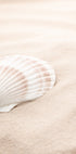 Shell_3 Plakat - Posterbox