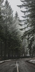 Forest Road in Winter Plakat - Posterbox.dk
