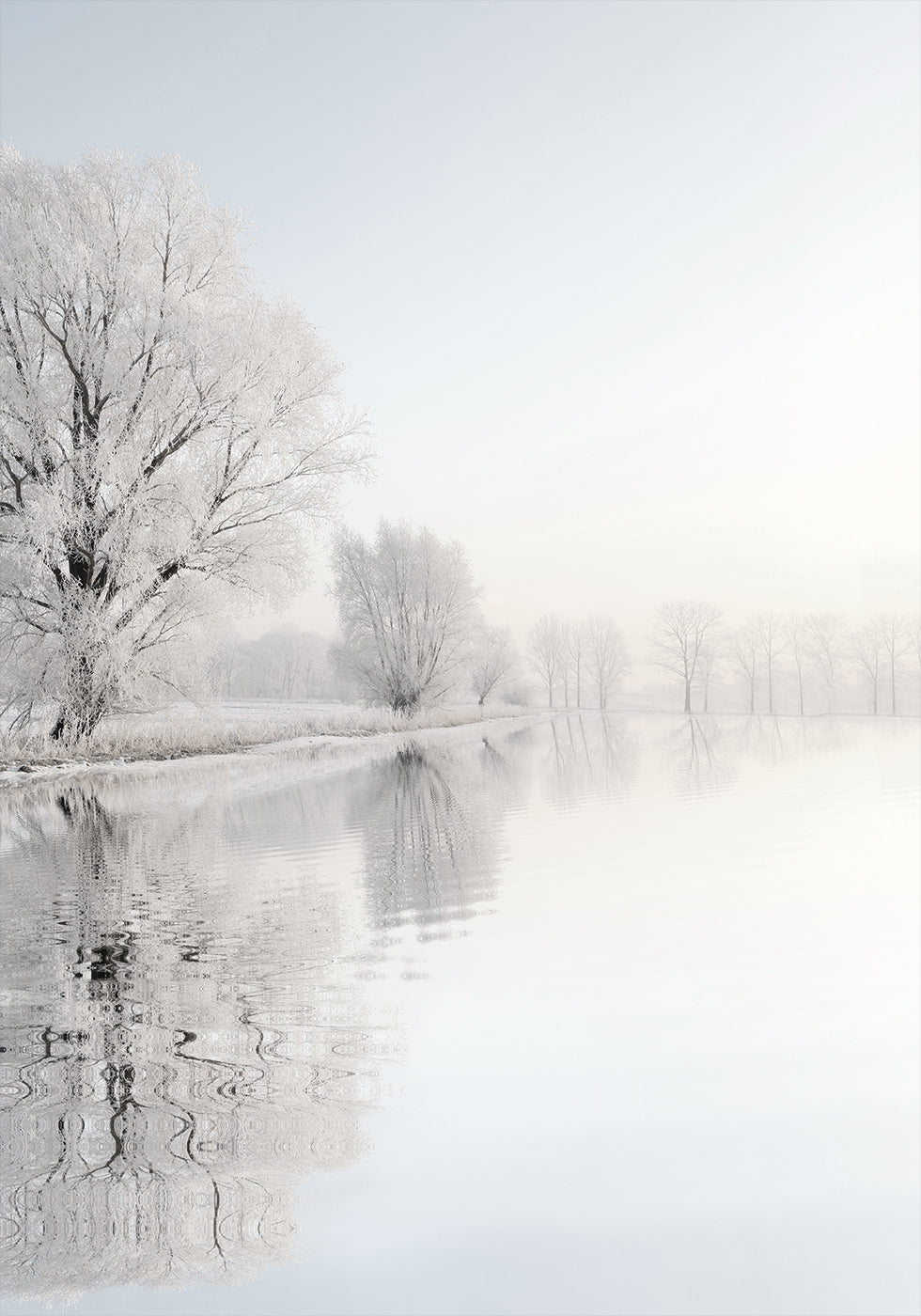 Frosty Winter Tree №1 Plakat - Posterbox.dk