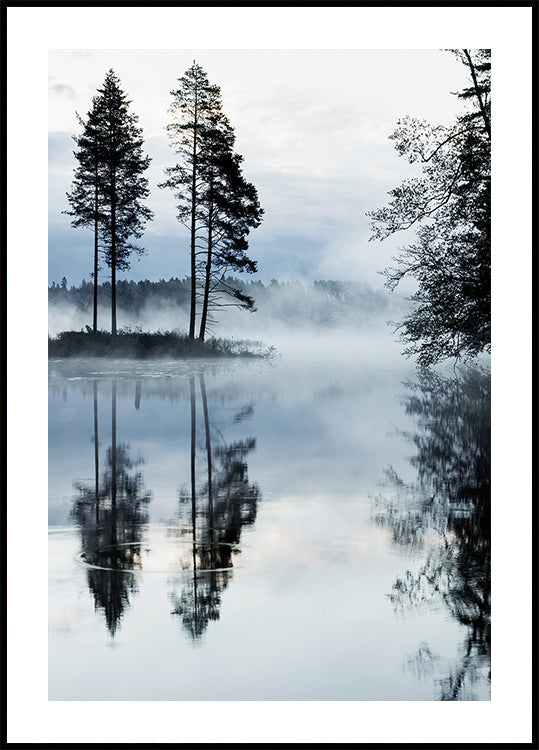 Misty Forest Morning Plakat - Posterbox.dk