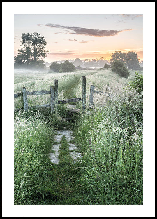 Misty Summer Dawn Plakat - Posterbox.dk