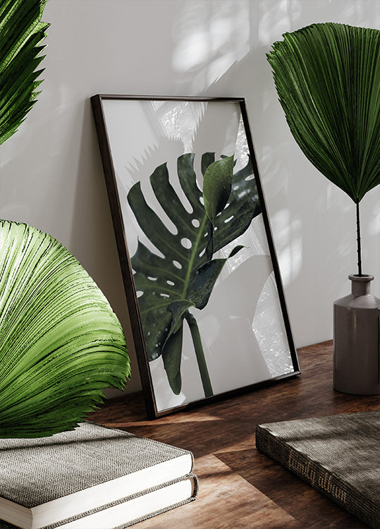 Monstera-plante №1 Plakat - Posterbox.dk