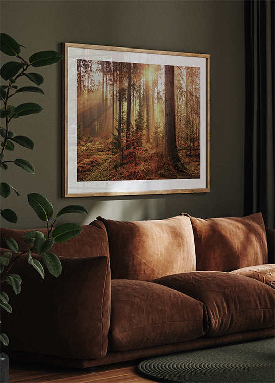 Mysterious Light of the Autumn Forest Plakat - Posterbox.dk