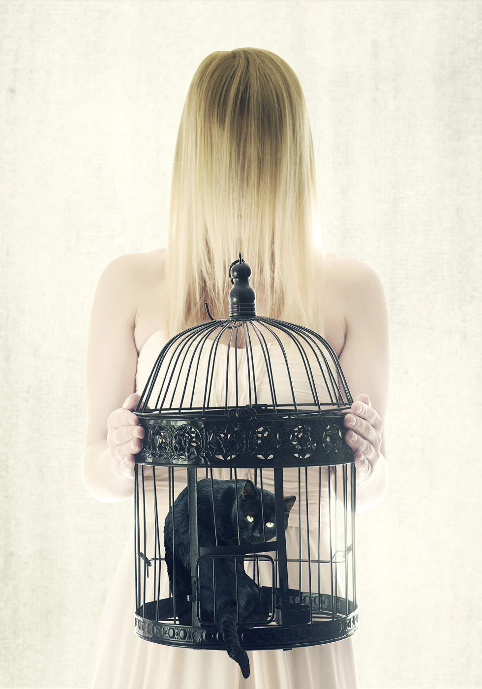 The Bad Black Cat Plakat - Posterbox.dk