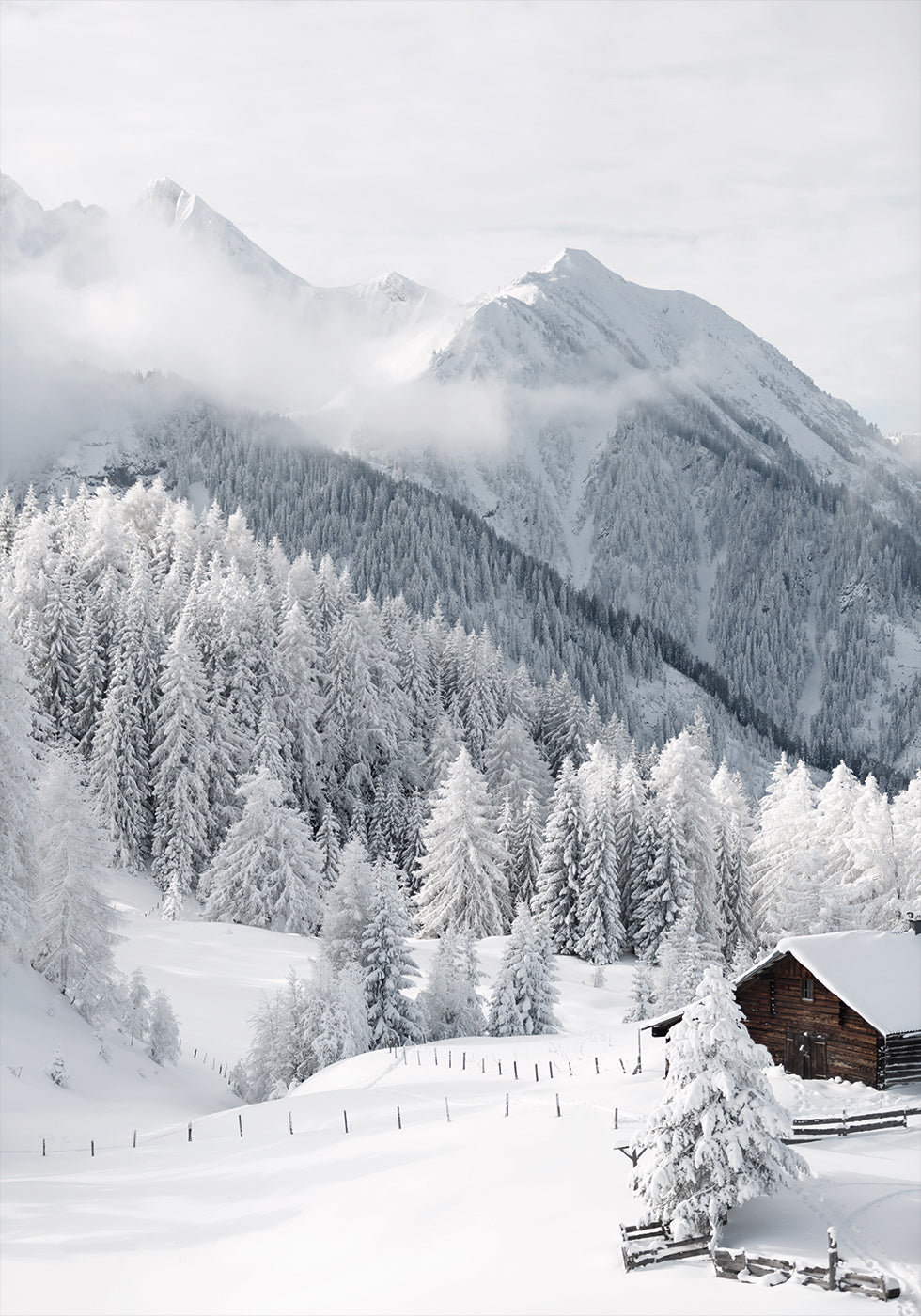 Winter Fairy Tale in the Alps Plakat - Posterbox.dk
