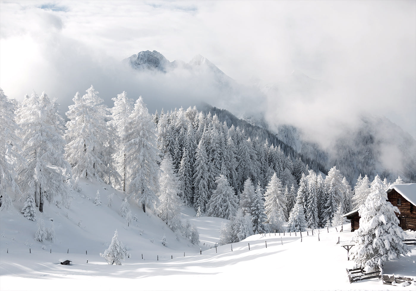 Winter Magic in the Alps Plakat - Posterbox.dk
