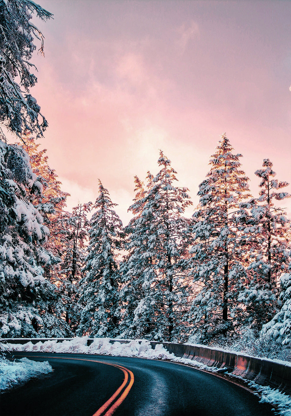 Winter Winding Road Plakat - Posterbox.dk