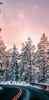 Winter Winding Road Plakat - Posterbox.dk