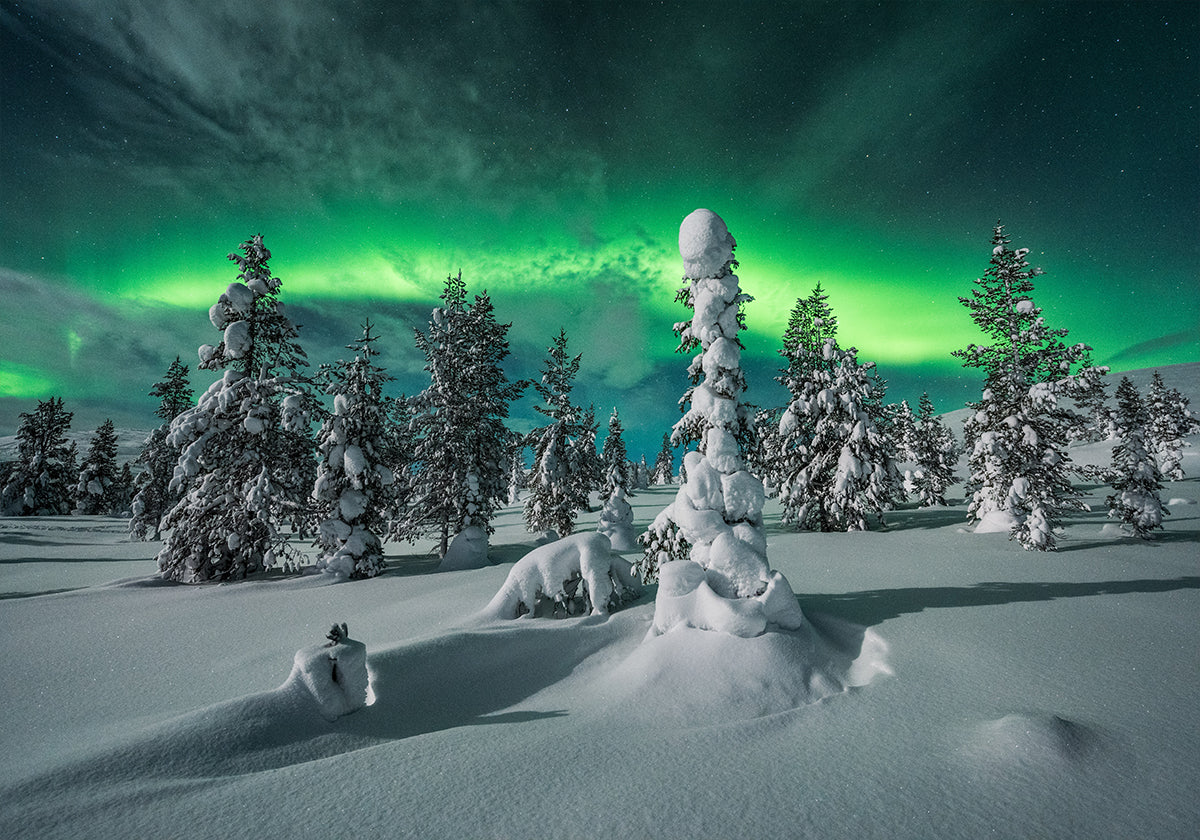 polar night Plakat - Posterbox