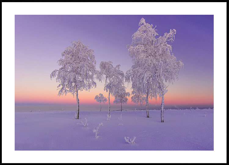 January evening Plakat - Posterbox
