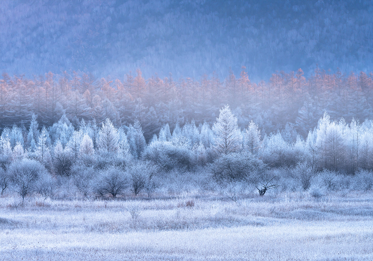 Autumn and Winter gradients Plakat - Posterbox