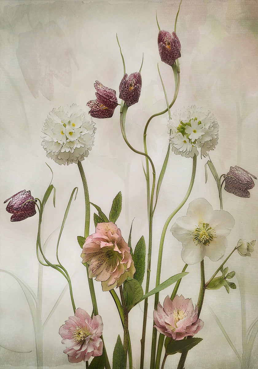 Spring Garden - Posterbox