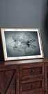 Ephemeral Beauty - Posterbox