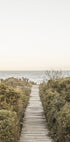 Pathway to Tranquility - Posterbox