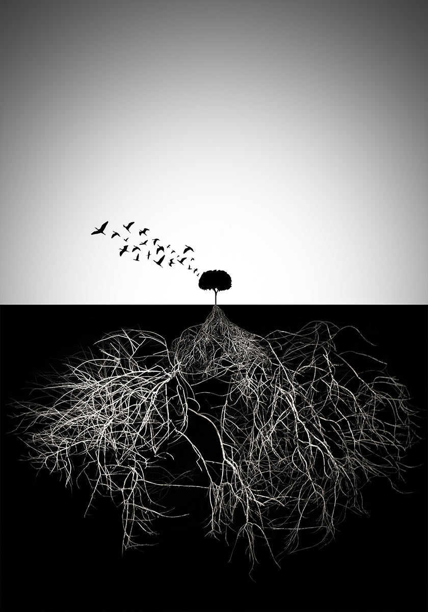 Do not judge according to appearance - Posterbox