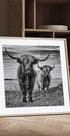 Highlands Plakat - Posterbox