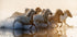 Horses Plakat - Posterbox