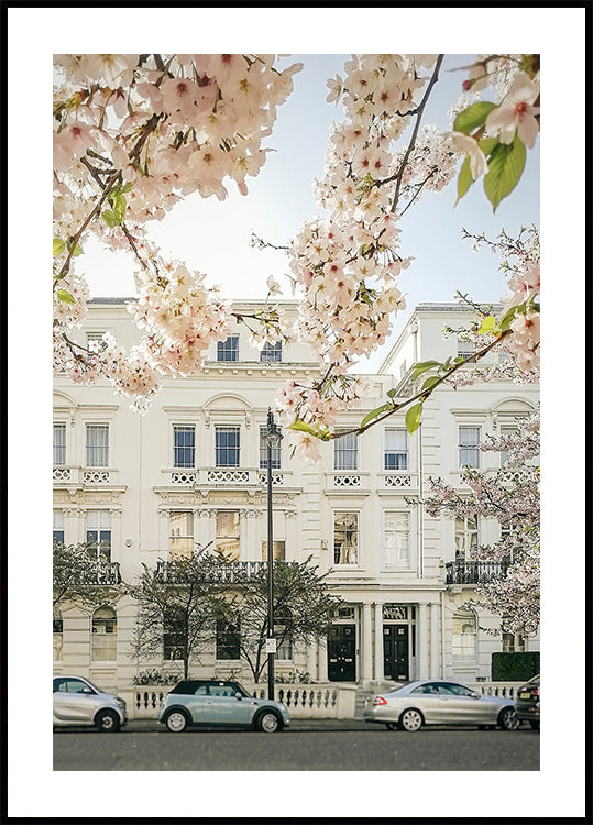 Nottinghillbloom Ratioiso (NEW) - Posterbox
