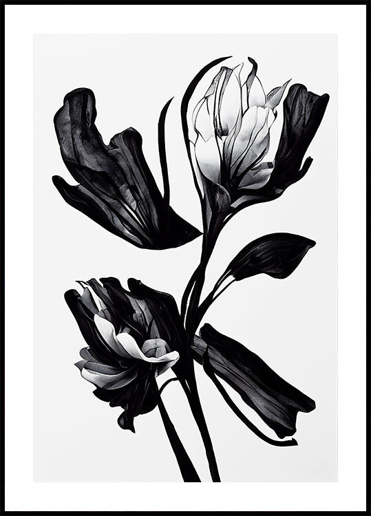 Black Flower - Posterbox