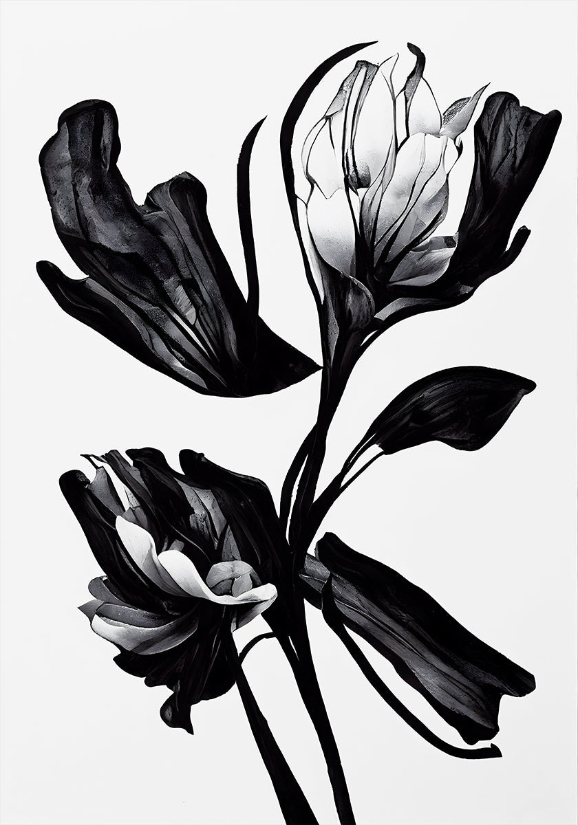 Black Flower - Posterbox